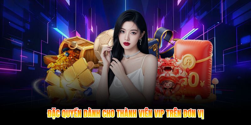 Đặc quyền dành cho thành viên VIP trên đơn vị