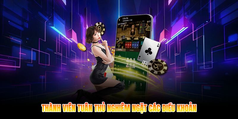 Thành viên tuân thủ nghiêm ngặt các điều khoản